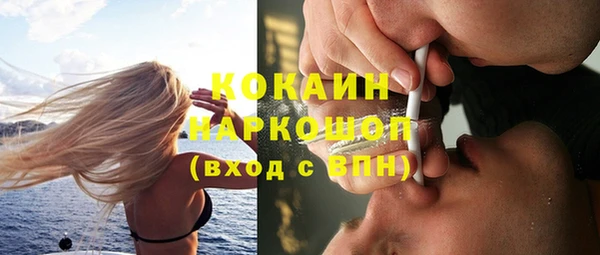 гидра Наволоки
