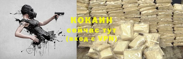 дживик Навашино