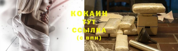 гидра Наволоки