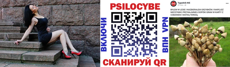 OMG рабочий сайт  закладка  Новотитаровская  Галлюциногенные грибы Cubensis 